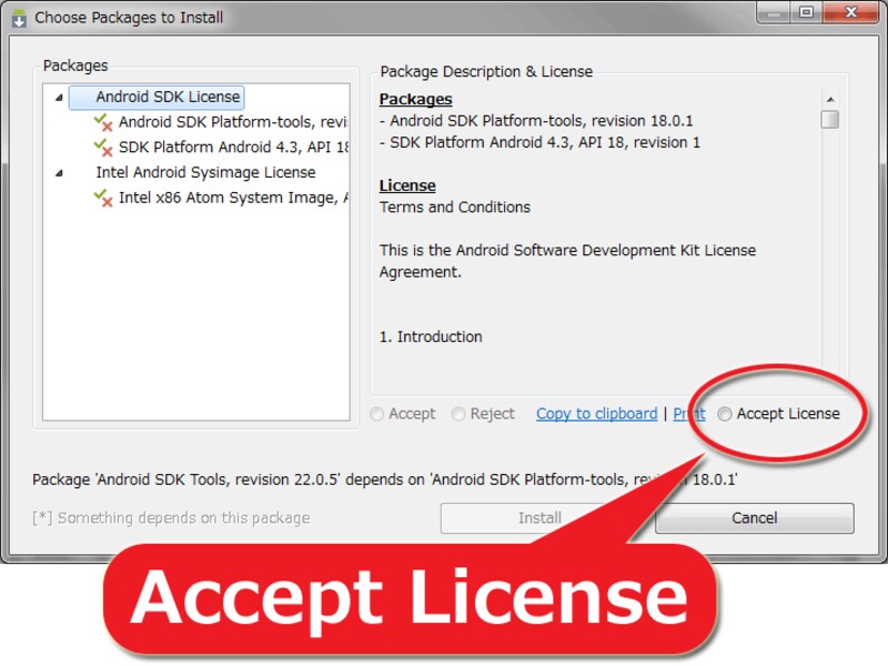 「Accept License」をクリック