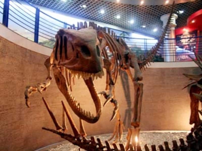 北京自然博物館