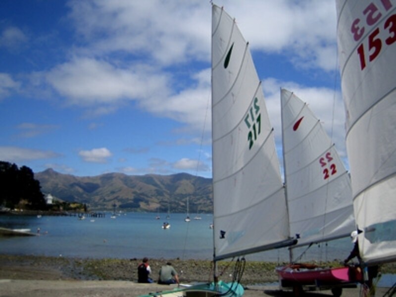 野生のイルカが生息するクライストチャーチ近郊のアカロア