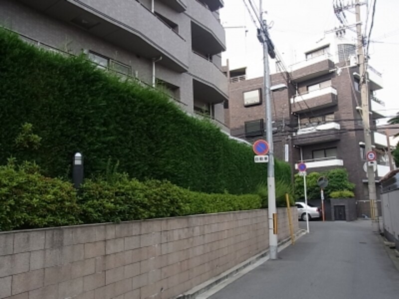 マンション、帝塚山