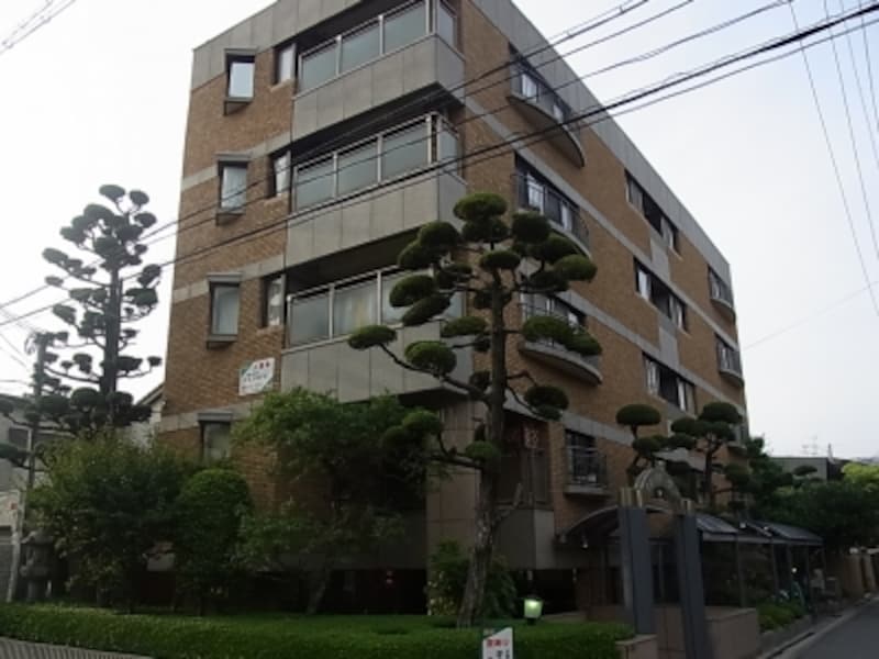 植栽の整った帝塚山のマンション