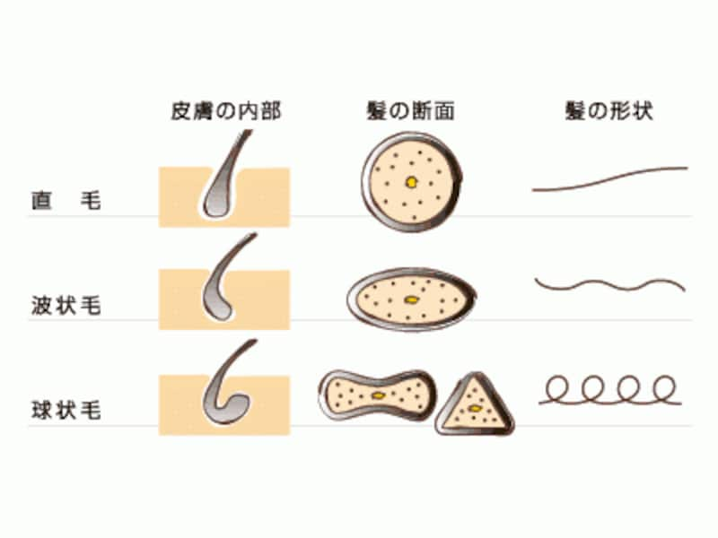 梅雨で髪爆発 女性のくせ毛にどう対処する 女性の薄毛 抜け毛 All About