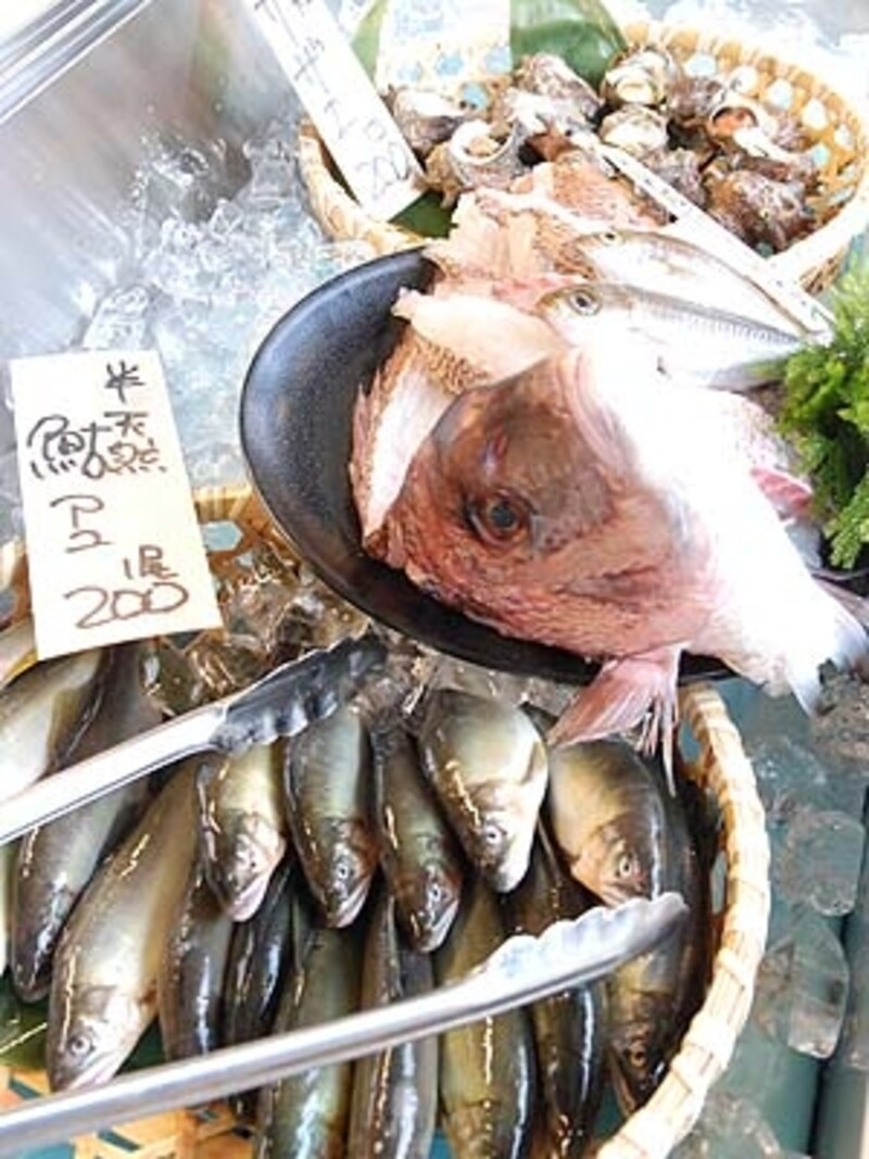 柳橋ビアガーデン