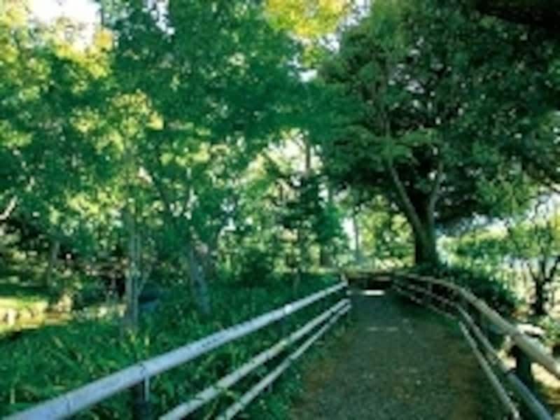 緑濃い木立ちが涼しげな蘇峰公