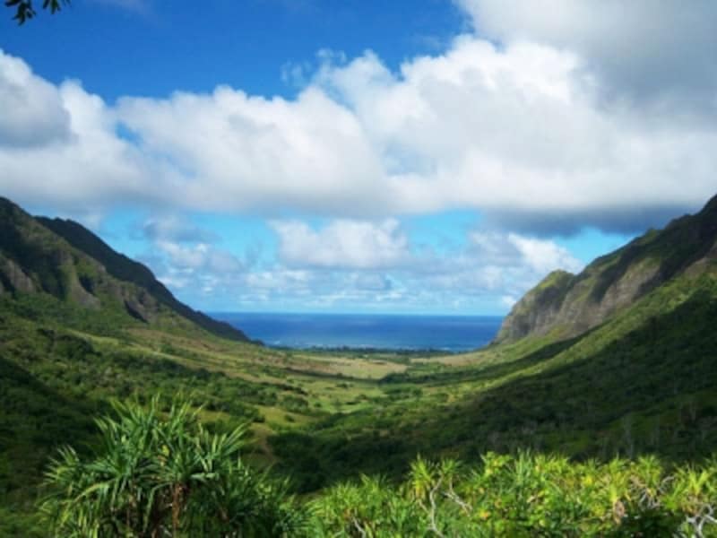 ハワイ州観光局認定の「ハワイ50選」に選ばれたクアロア・ランチ。クアロアには古代ハワイの雰囲気を味わえるスポットがいっぱい