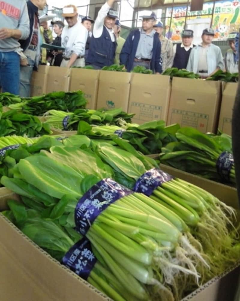 せりの様子です