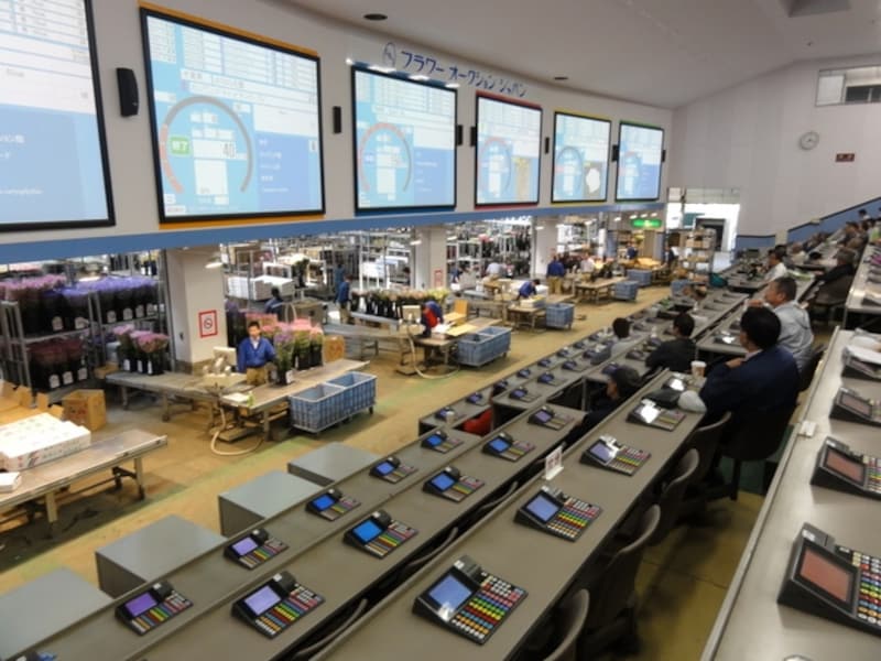 実物の花とモニタにはデータが出てきます。