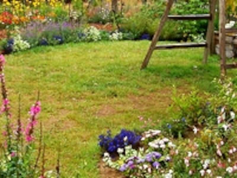 庭の雑草対策 雑草を生えにくくするアイテムや生えた時の対処方法 ガーデニング 園芸 All About
