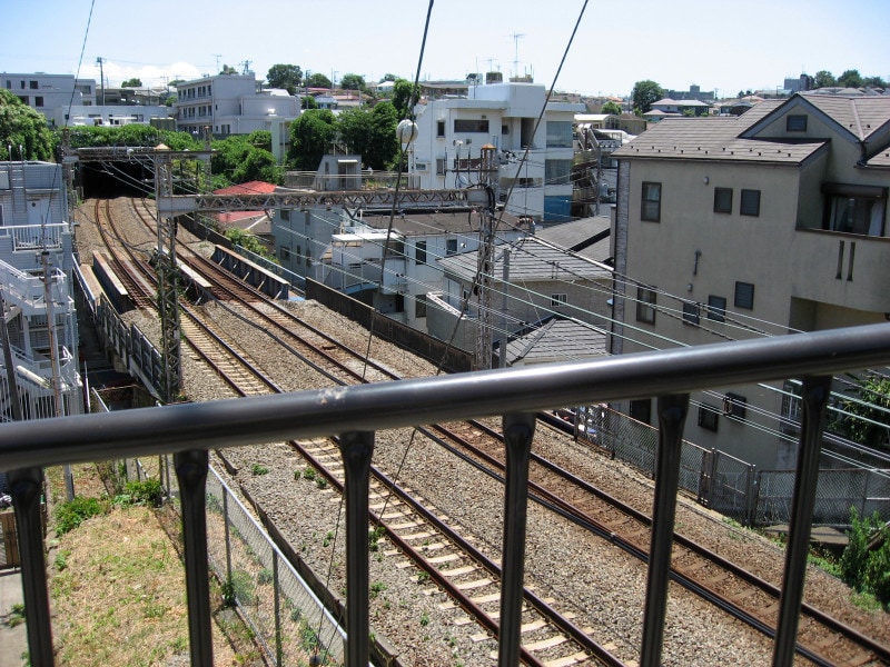 山手公園を降りていった「桜道」沿いから見えるトンネル（2011年7月13日撮影）