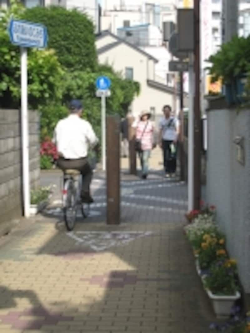 ふれあいのこみち