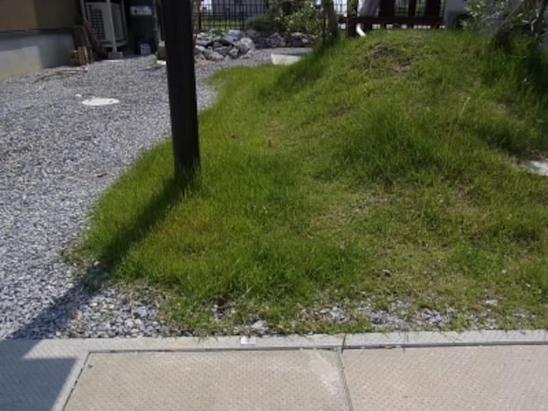 塀が無い＠小舟木エコ村