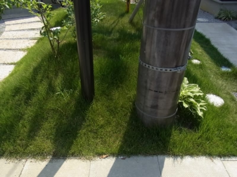 なにもない敷地境界＠小舟木エコ村