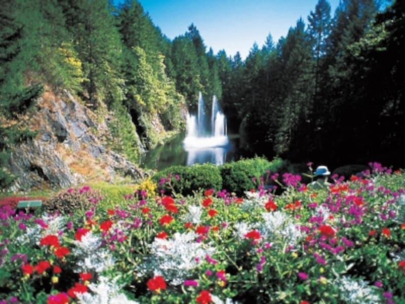 咲き誇る花とロスファウンテンと呼ばれる噴水 (C) Tourism BC