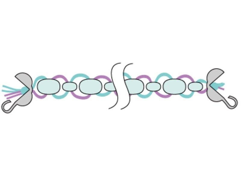 結び目はゆるまないようしっかりと