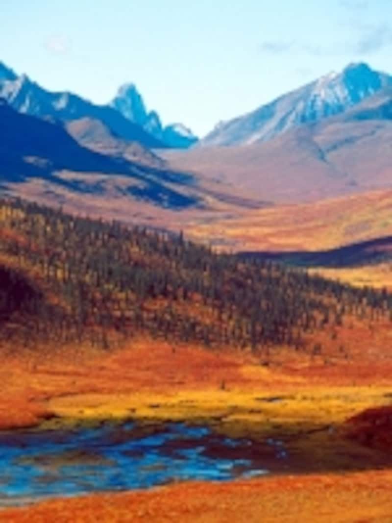 ホワイトホースから北へ進むと見られるツンドラの紅葉undefined(C) Tourism Yukon