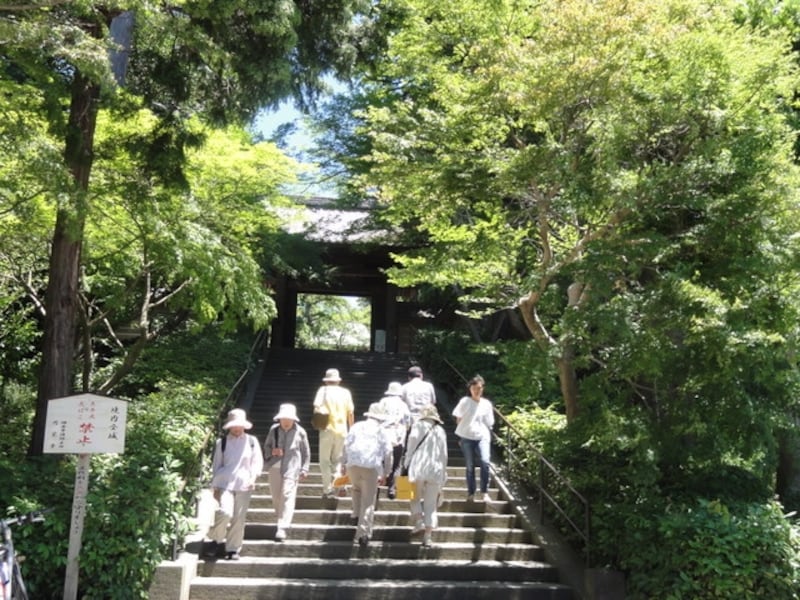 境内には現在も禅僧が修行をしている道場がある