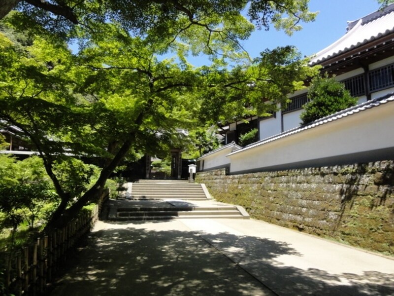 時おり禅僧の方をお見かけすることがある。