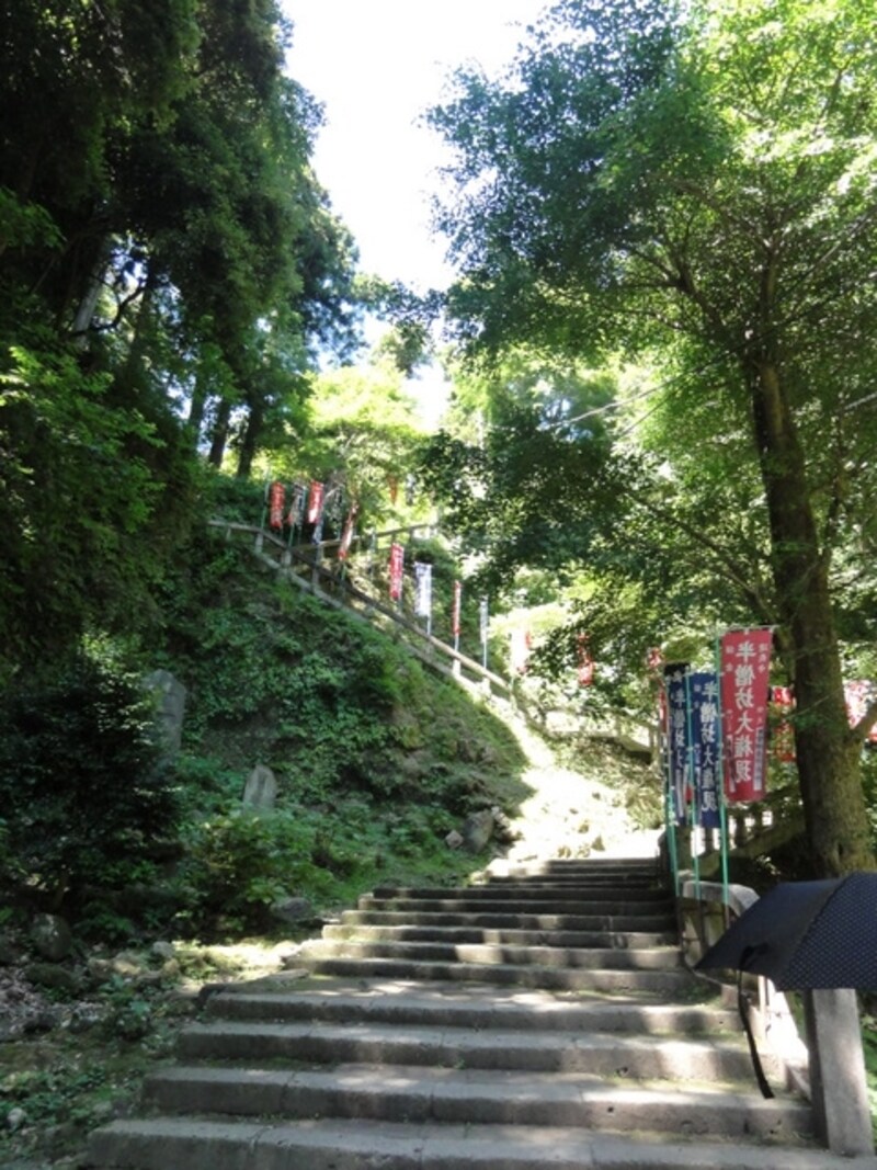 登りきると天気がよければ富士山が見える