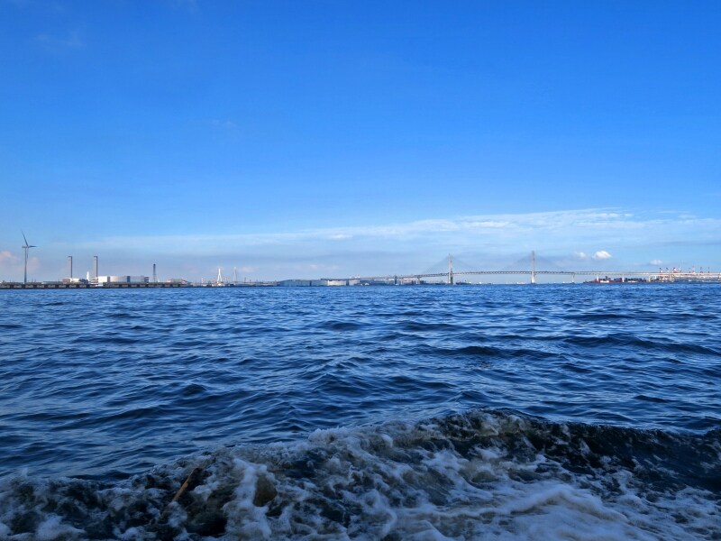 シーバスからの眺め。海が近いので迫力満点(2016年9月4日撮影)