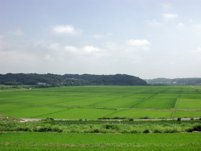 米屋
