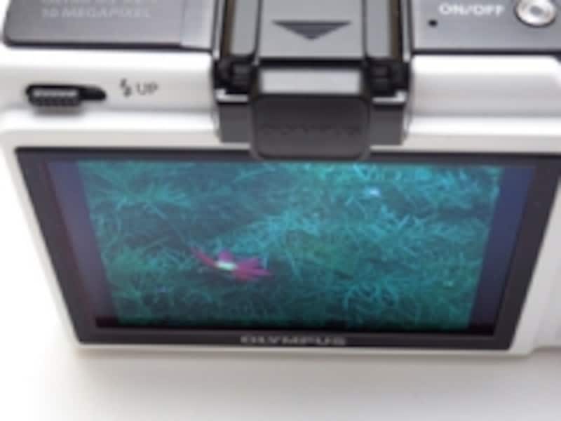 有機ELディスプレイなら、上から覗きこむ形でも問題なく撮影可能だ