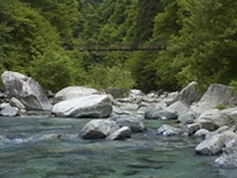 尾白川