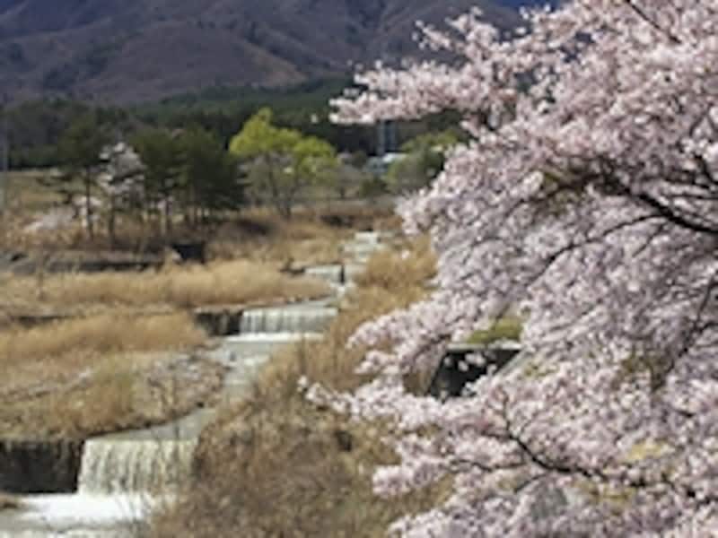 神宮川