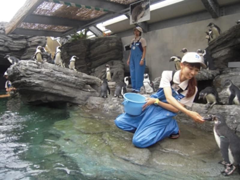 サンシャイン水族館