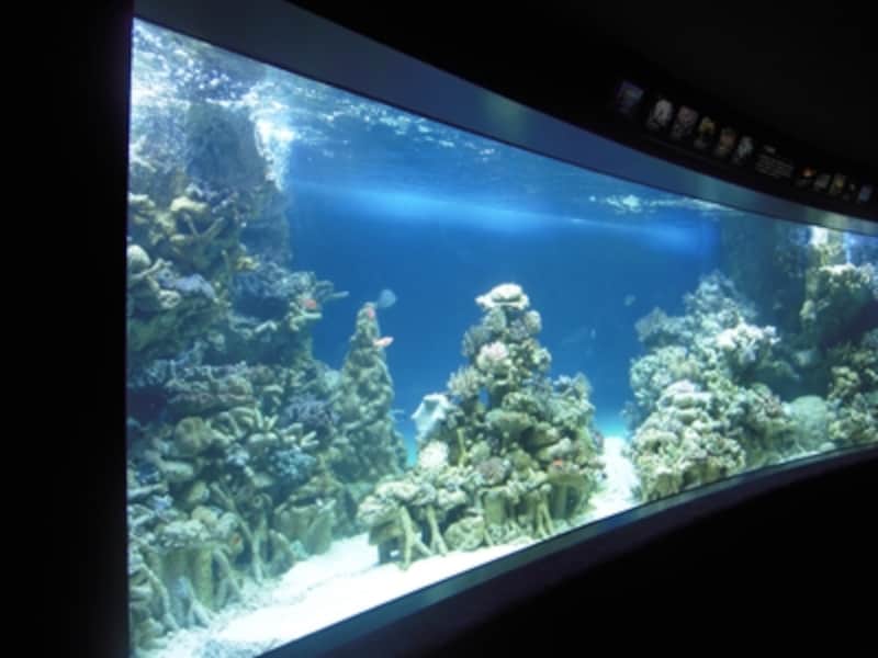 サンシャイン水族館