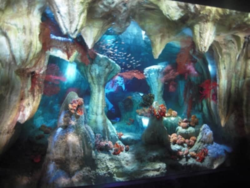 サンシャイン水族館