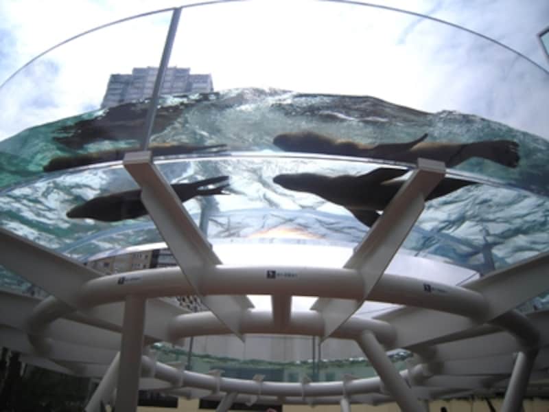 サンシャイン水族館