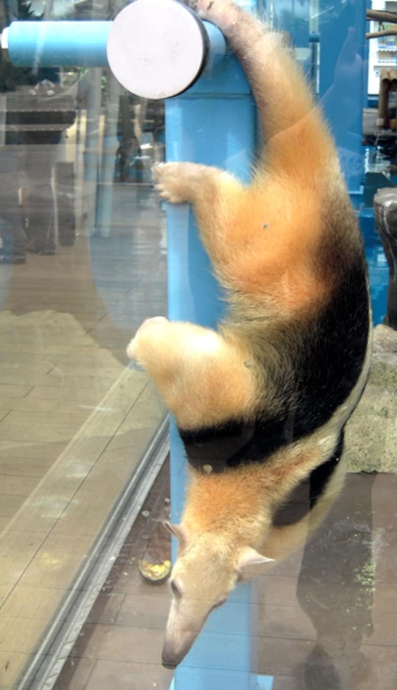 サンシャイン水族館