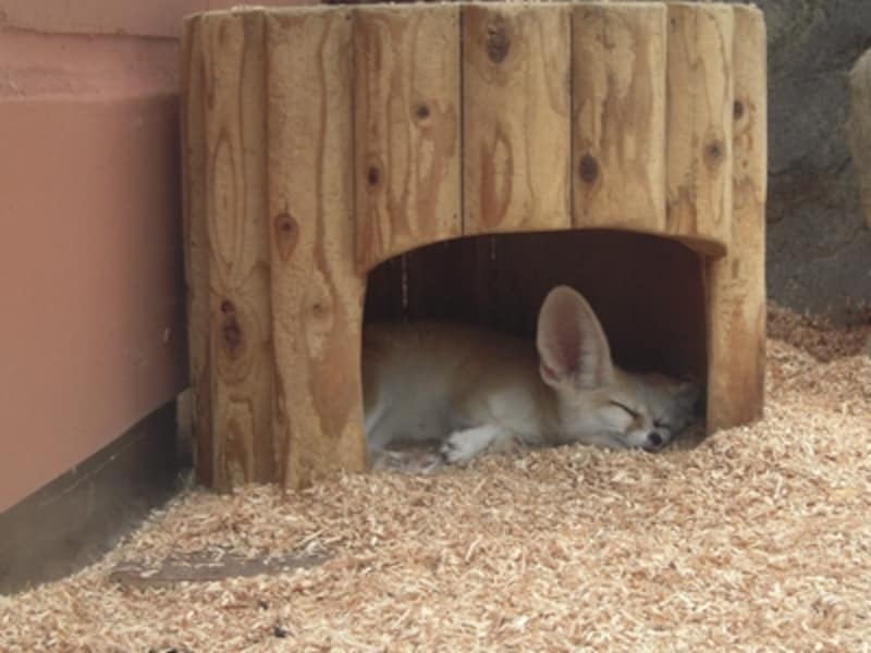 サンシャイン水族館