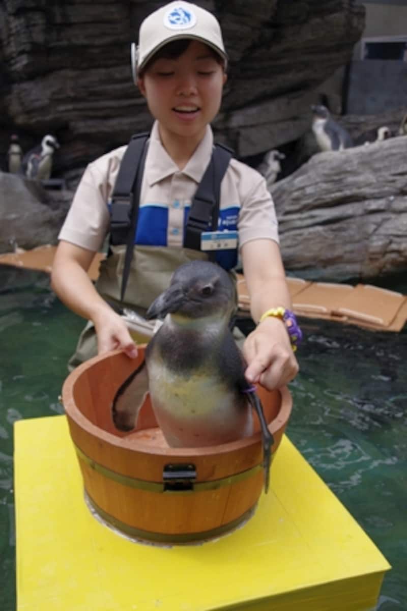 サンシャイン水族館