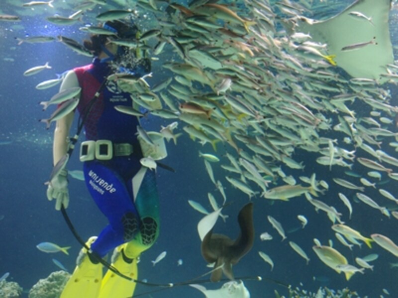 サンシャイン水族館