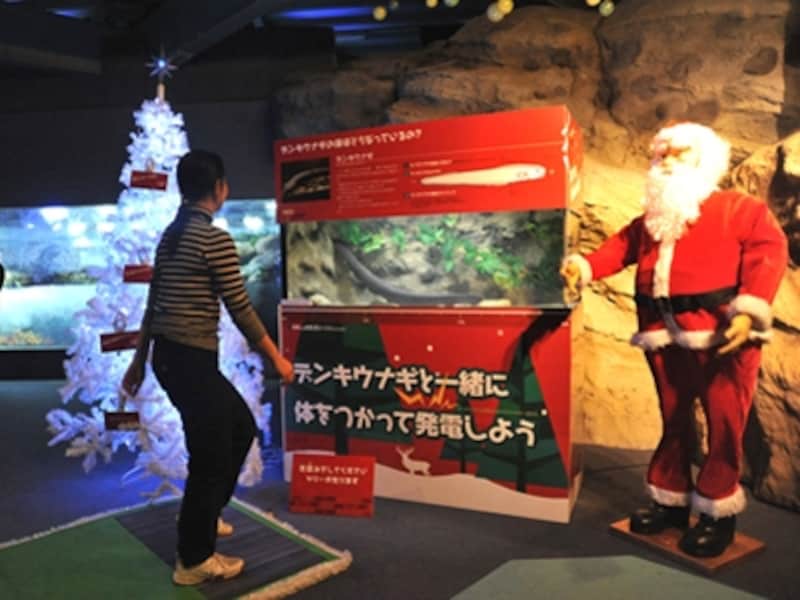 4 4 新江ノ島水族館 えのすい の魅力ベスト5 水族館 All About 4 4 新江ノ島水族館 えのすい の魅力ベスト5 水族館 All About