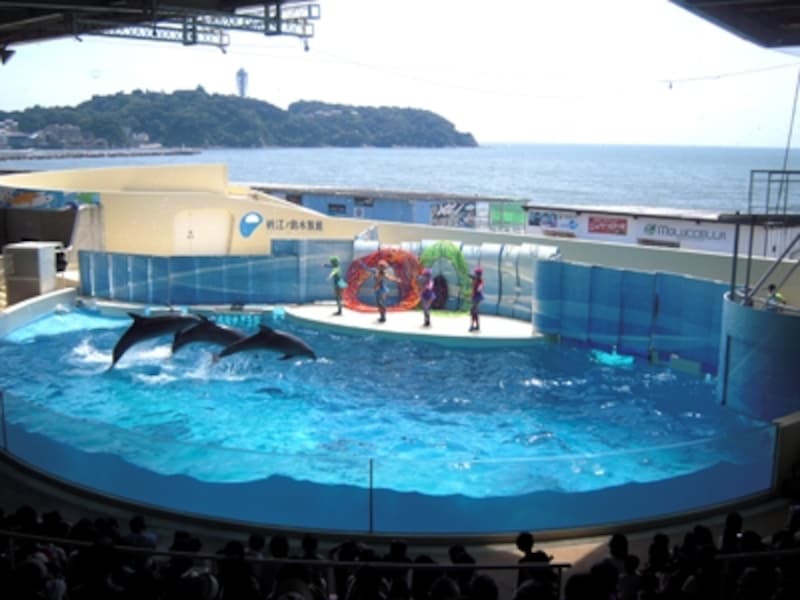 新江ノ島水族館