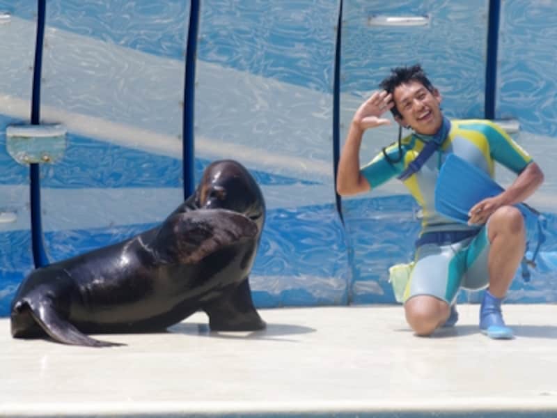 新江ノ島水族館