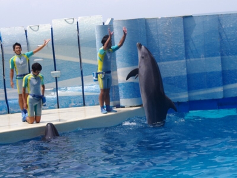 新江ノ島水族館