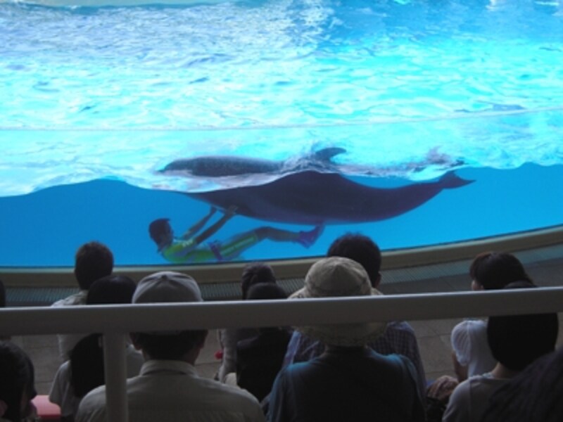 新江ノ島水族館