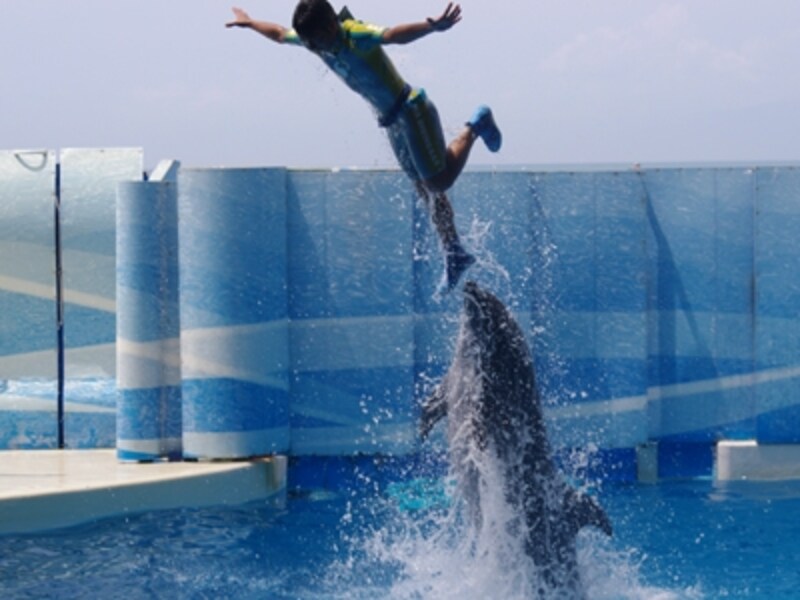 新江ノ島水族館