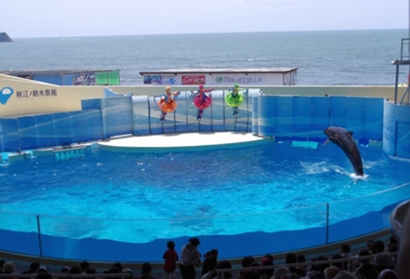 新江ノ島水族館