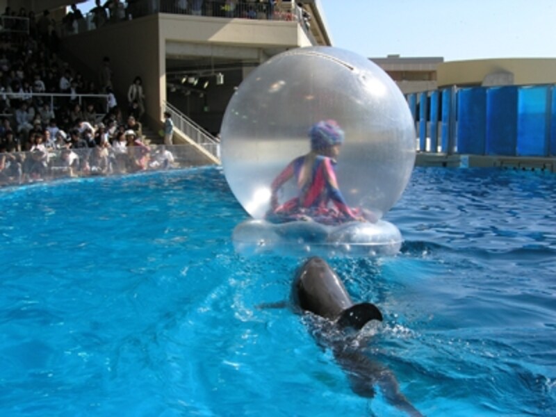 新江ノ島水族館