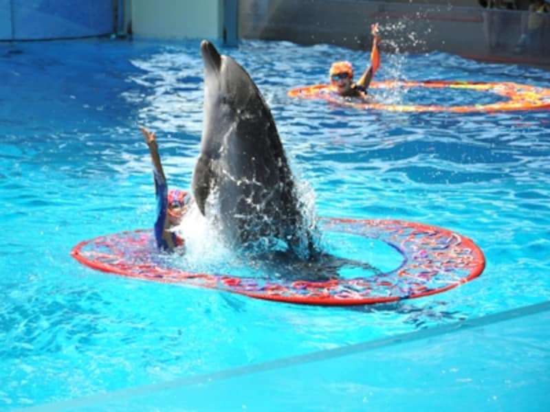 新江ノ島水族館