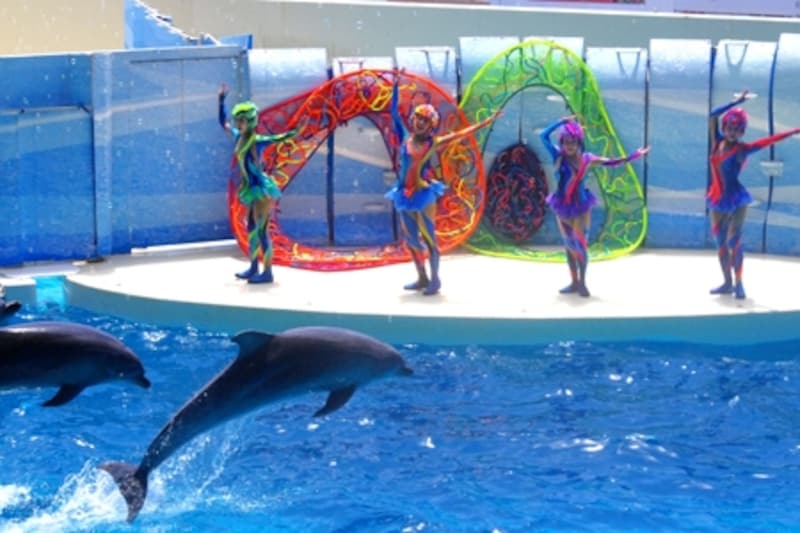 新江ノ島水族館