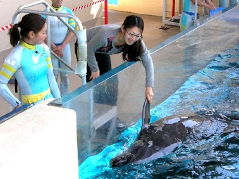 新江ノ島水族館