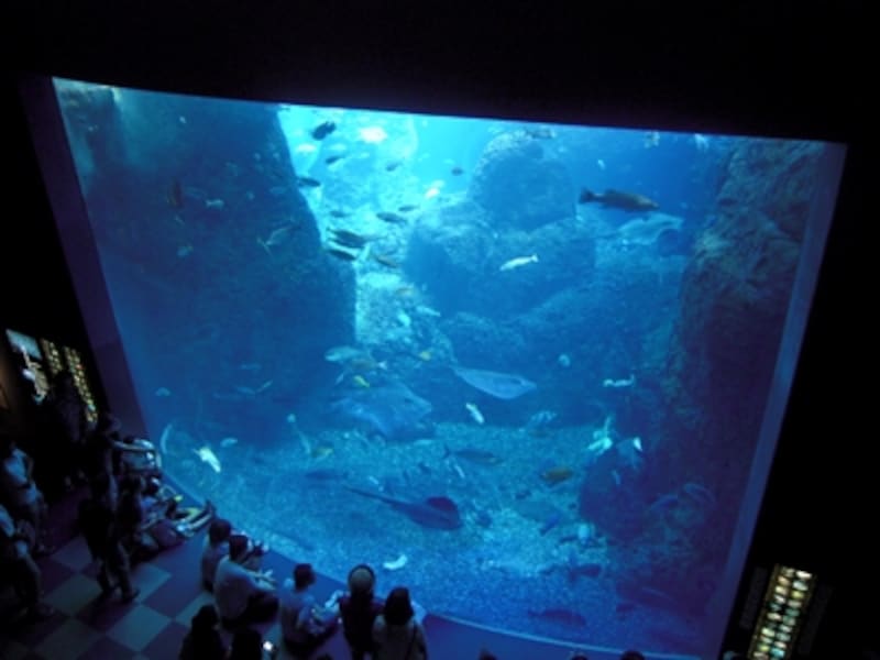 新江ノ島水族館