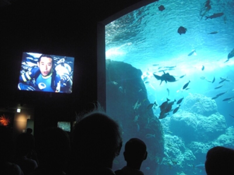 新江ノ島水族館