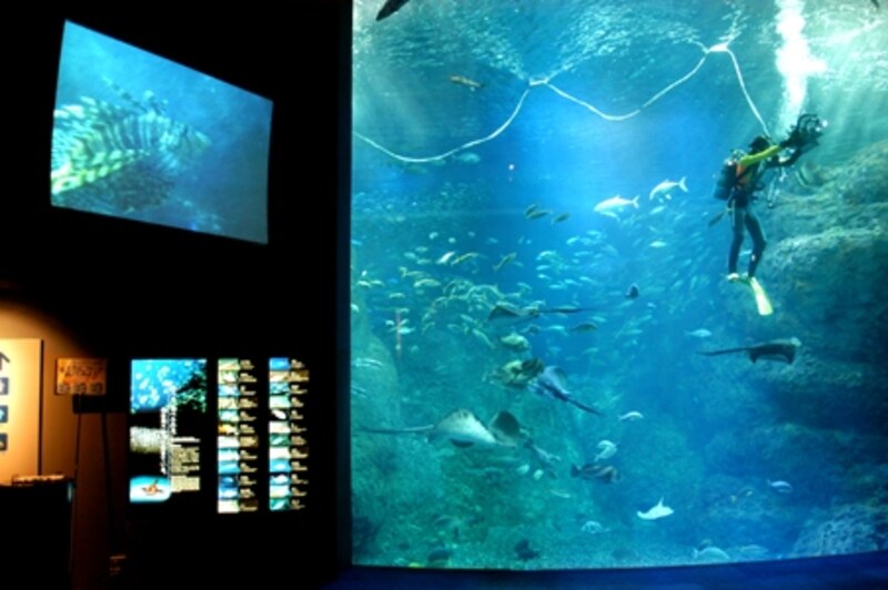 新江ノ島水族館