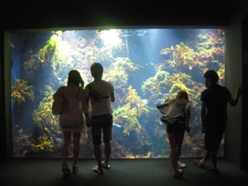 新江ノ島水族館